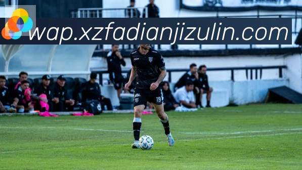 雅博app官网平台生态图