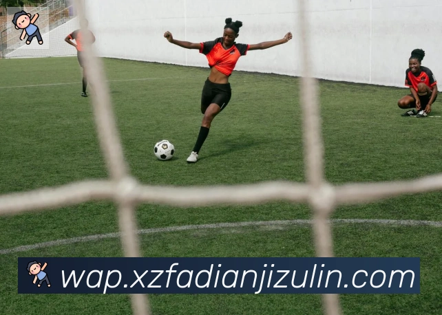 App Interface Preview