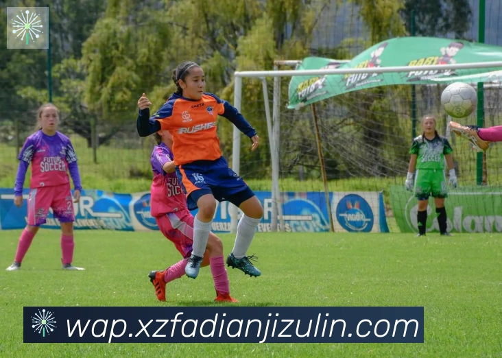 雅博app官网APP 封面图