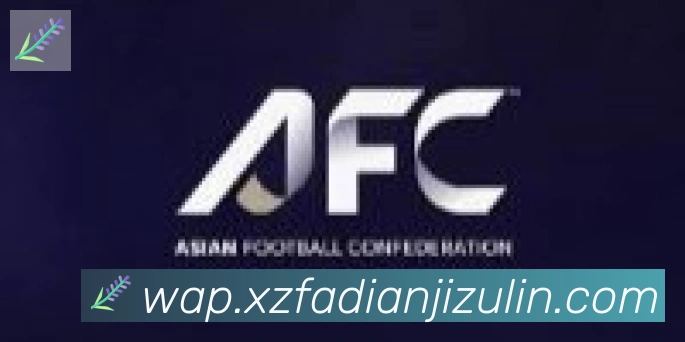 雅博app官网合作伙伴