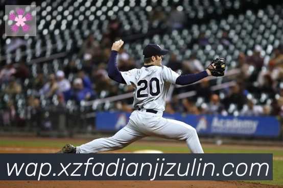 雅博app官网全站App